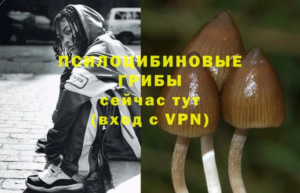 кокаин VHQ Куйбышев