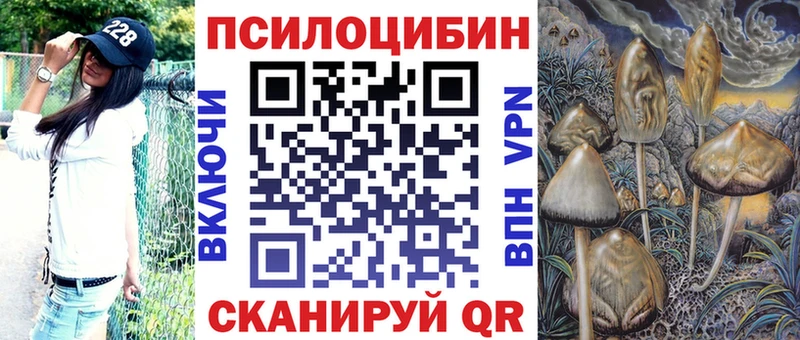 Купить где  Цивильск  Псилоцибиновые грибы мицелий 